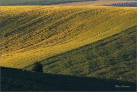 <p>Jižní Morava</p>